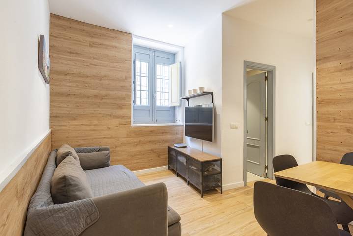 Holiday apartment for 3 people, with pets - 1
