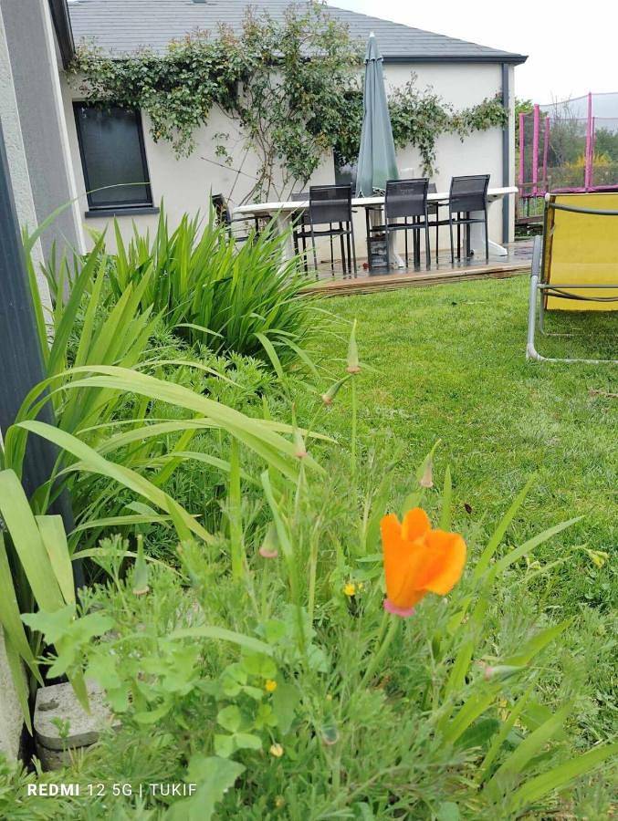 Location de vacances pour 8 personnes, avec jardin et piscine à Sillé-le-Philippe - 2