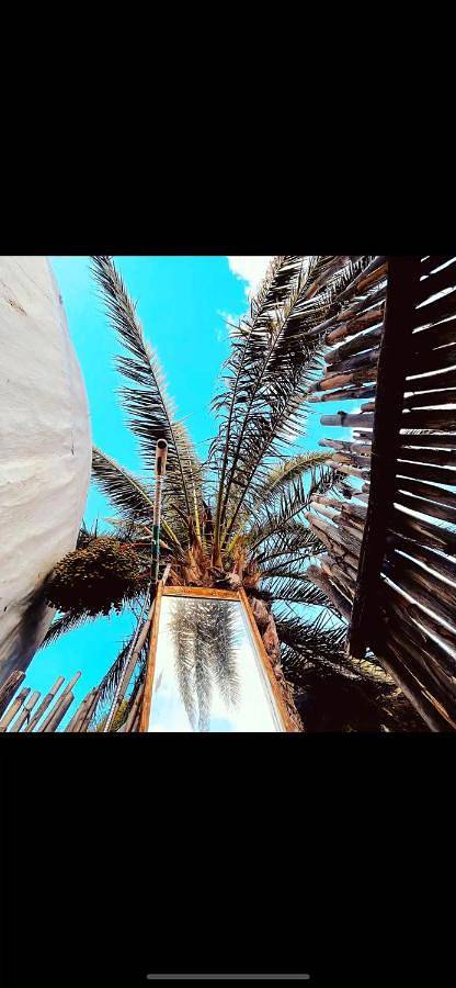 Casa rural para 4 personas, con jardín además de vistas y terraza, Se admiten mascotas en Agaete - 3