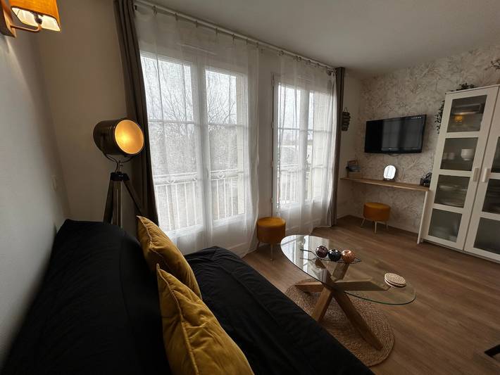 Apartamento entero, T2 renovado con WiFi y parking a 200m de los Termas in La Roche-Posay, Vienne