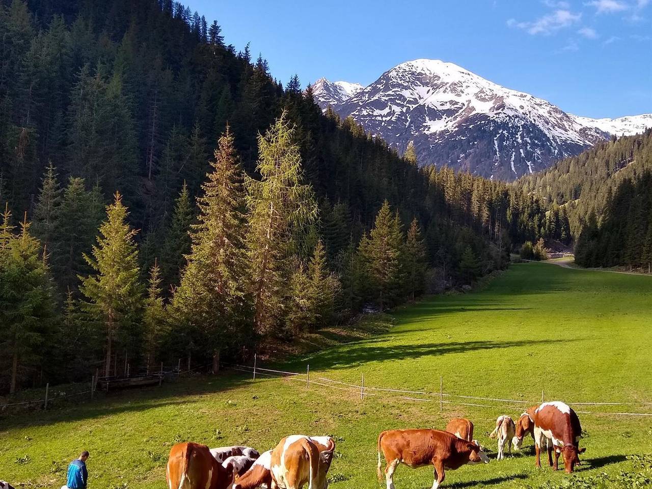Kloitzhütte - Ferienhaus in Hopfgarten in Defereggen, Osttirol