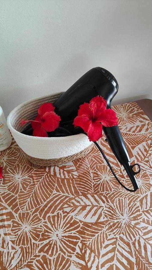 Gîte pour 3 personnes, avec jardin dans Taha'a - 4