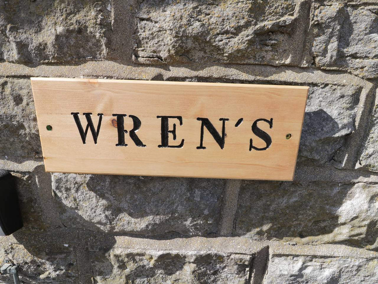 Wren in North York Moors National Park