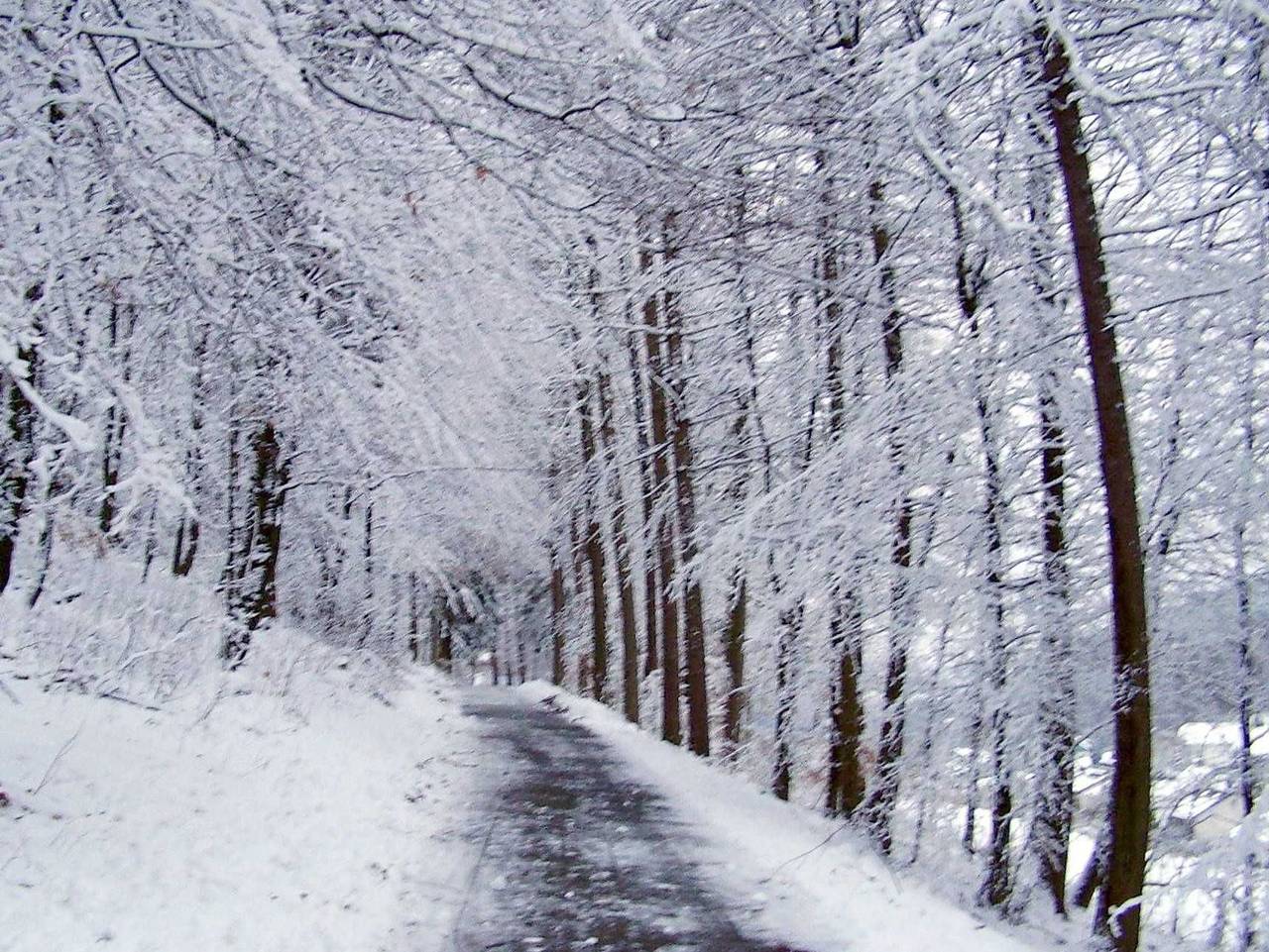 Ganze Ferienwohnung, Ferienwohnung Desmecke - Fewo Desmecke in Olsberg, Hochsauerlandkreis
