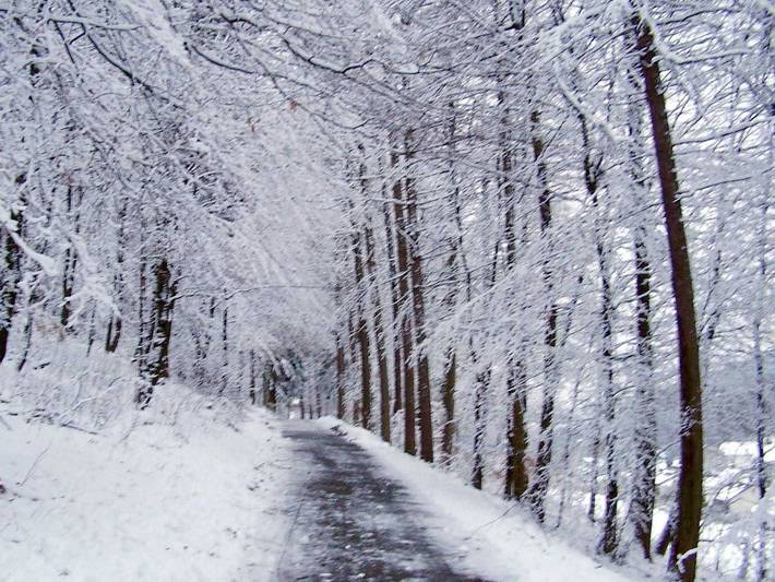 Ferienwohnung für 3 Personen, mit Garten und Terrasse, mit Haustier in Olsberg - 4