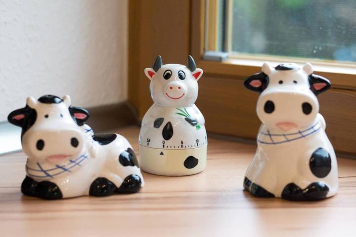 Ferienhaus für 4 Personen, mit Garten und Terrasse, mit Haustier in Dornum - 4