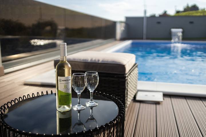 Vineyard Vila 01 in Pozega-Slawonien