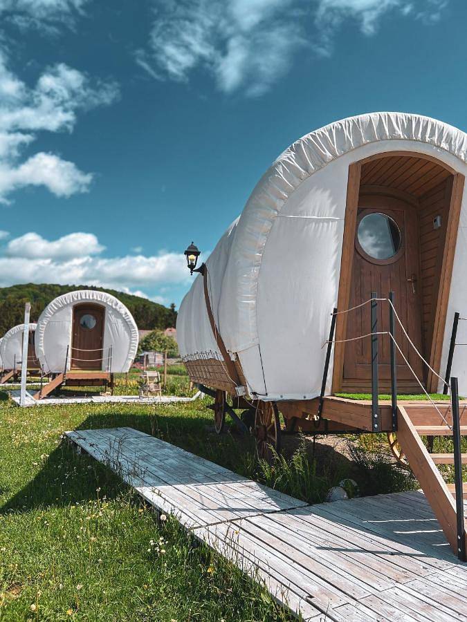 Glamping Spiritul Zimbrului in Karpaty (Rumunia)