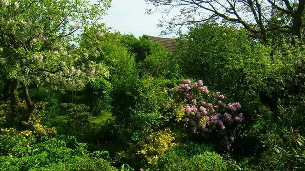 Ferienhaus für 4 Personen (60 m²) in Senftenberg in Senftenberger See, Senftenberg
