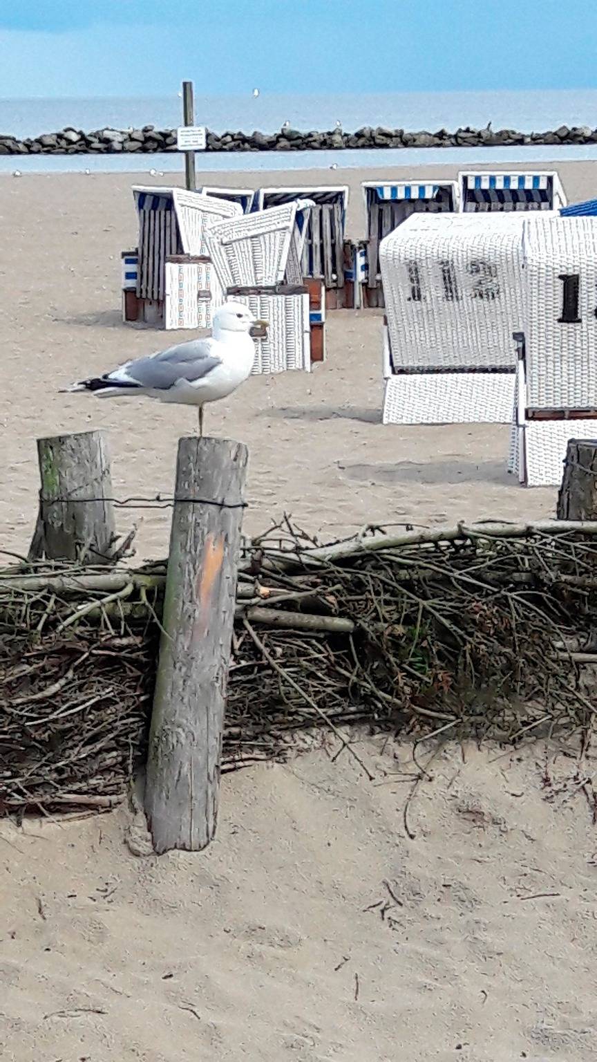 Ganze Ferienwohnung, Markert in Loose, Rendsburg-Eckernförde