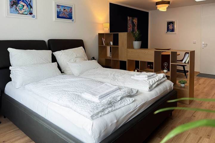 Ganze Wohnung, Nexpo Executive - Business Suite | Messe | Parking in Nürnberg, Frankenalb