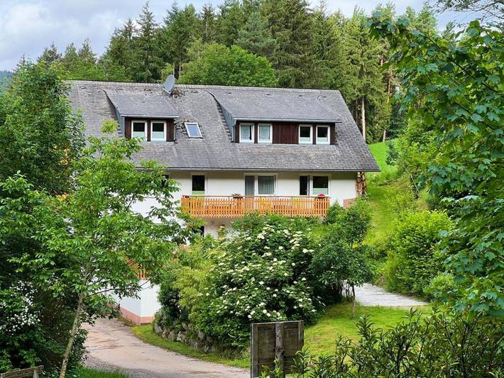 Ferienwohnung für 4 Personen, mit Balkon und Terrasse sowie Garten und Sauna in Triberg