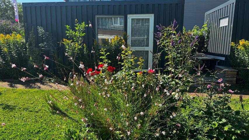Maison d’hôte pour 4 personnes, avec Terrasse ainsi que Jardin et Vue dans Doetinchem