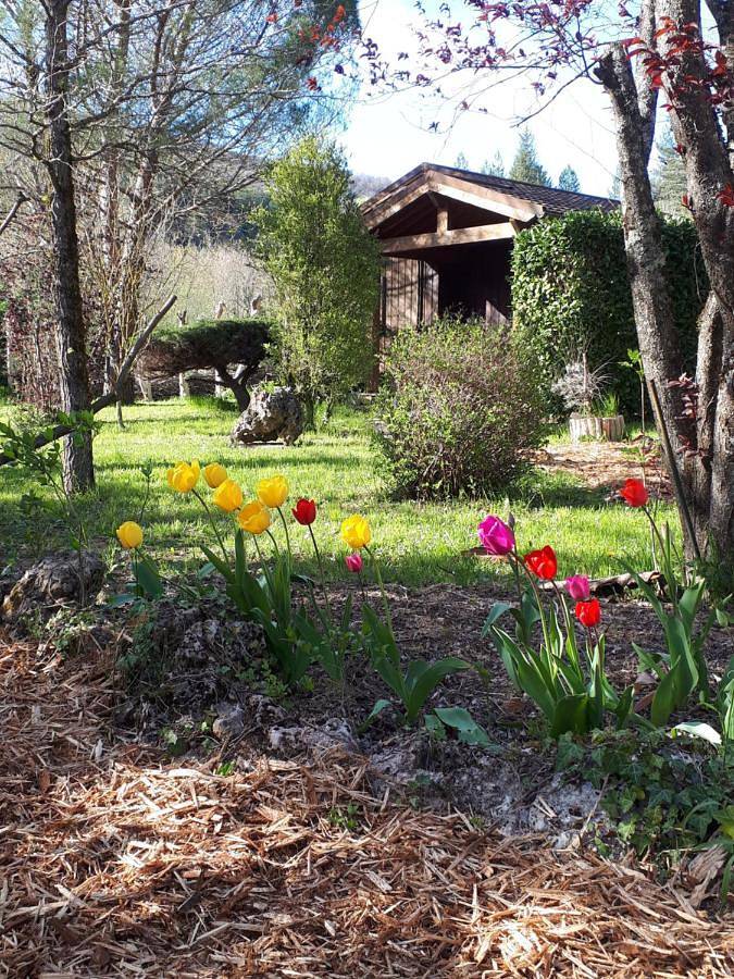 Gîte pour 4 personnes, avec terrasse et jardin, animaux acceptés à Alzon