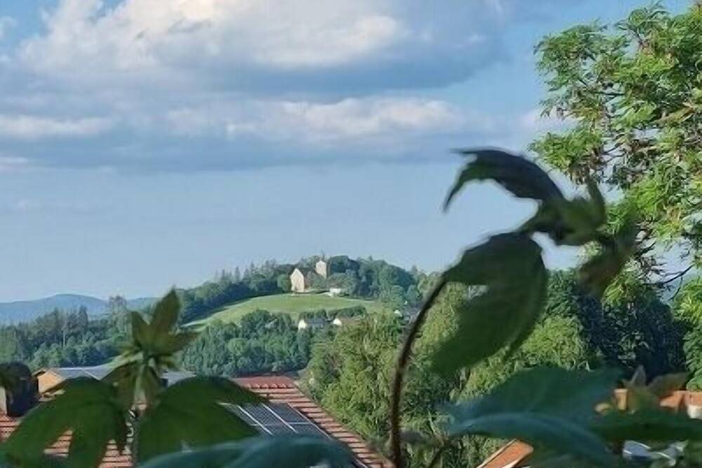 Ganze Wohnung, Ferienwohnung/App. für 2 Gäste mit 44m² in Kirchberg im Wald in Kirchberg im Wald, Ostbayern