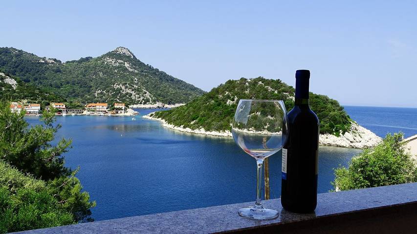 Gîte pour 6 personnes dans Lastovo