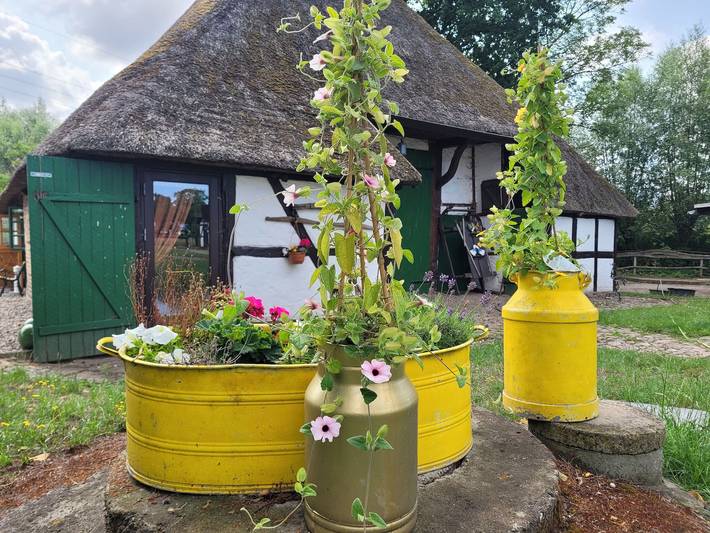 Bauernhof für 4 Personen, mit Garten und Terrasse, mit Haustier in Biendorf