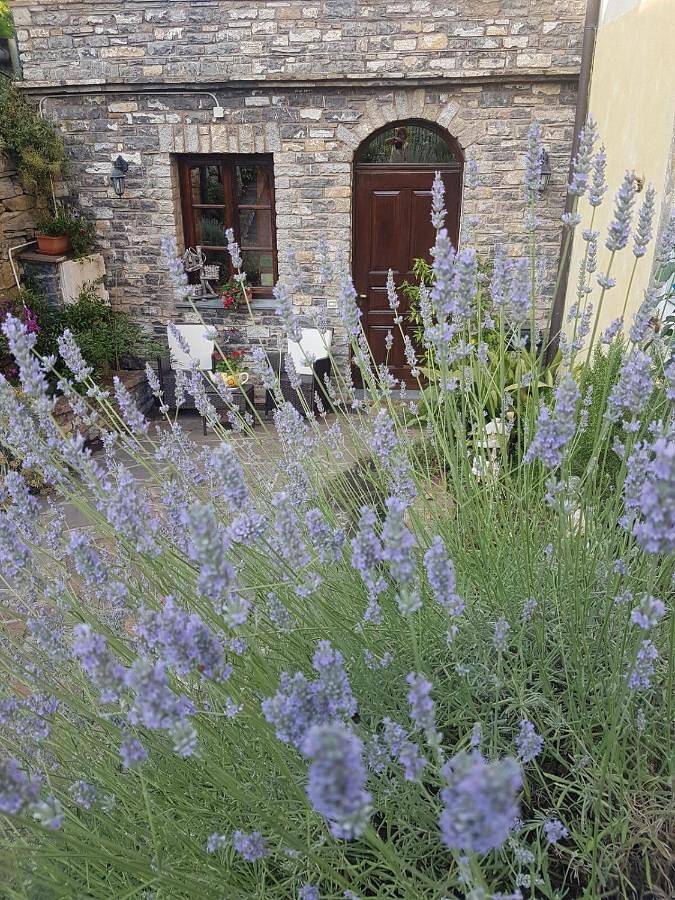 Gîte pour 4 personnes, avec terrasse et vue à Lucinasco - 2