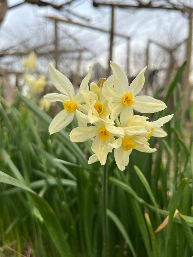 Location de vacances pour 2 personnes, avec vue ainsi que jardin et terrasse à Monastero Bormida - 3