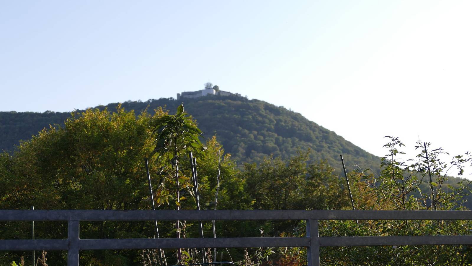Ganze Ferienwohnung, Appartement 230 (Dorothee Suckfüll) - Apartement 230, 40qm, 1 Schlafzimmer, Terrasse, max. 2 Personen in Beuren, Albsteig Etappe 9