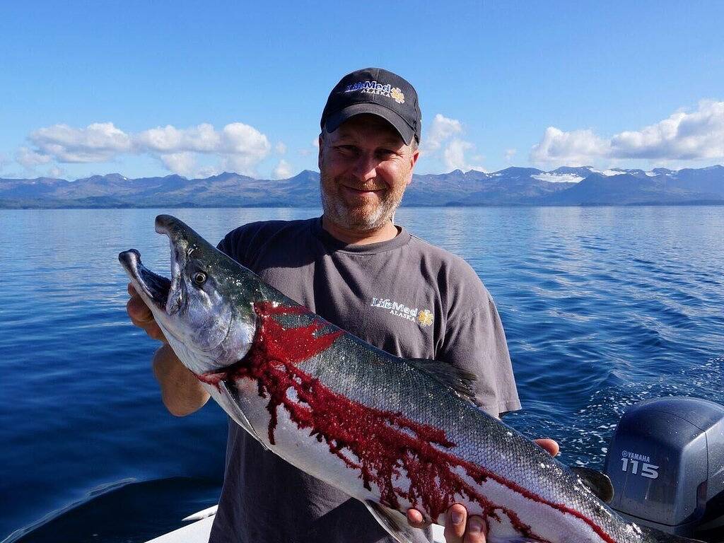 Ganze Wohnung, Loft-Ensuite-Charakteristisch-Bergblick-Hayloft Cottage in Girdwood, Anchorage