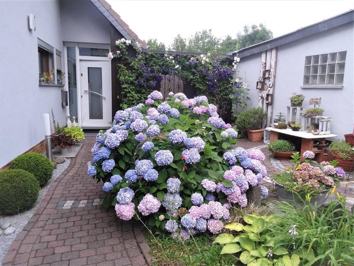 Ferienwohnung für 2 Personen, mit Balkon in Hilders - 4