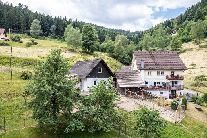 Ferienwohnung für 8 Personen, mit Garten und Kinderpool in Schenkenzell, Mittlerer Schwarzwald