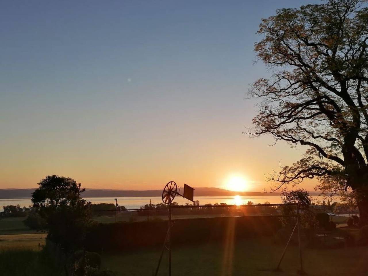 Appartement entier, Studio Ferienwohnung - 38 m2- mit Gartennutzung in Bottighofen, Lac de Constance (Suisse)