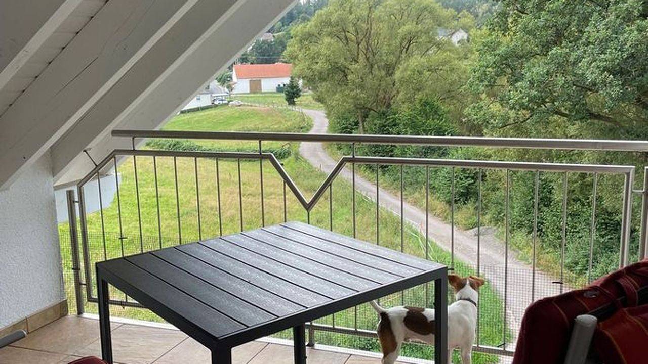 Ganze Ferienwohnung, Ferienwohnung für 2 Personen (90 m²) in Frankenberg (Eder) in Frankenberg (Eder), Waldecker Land