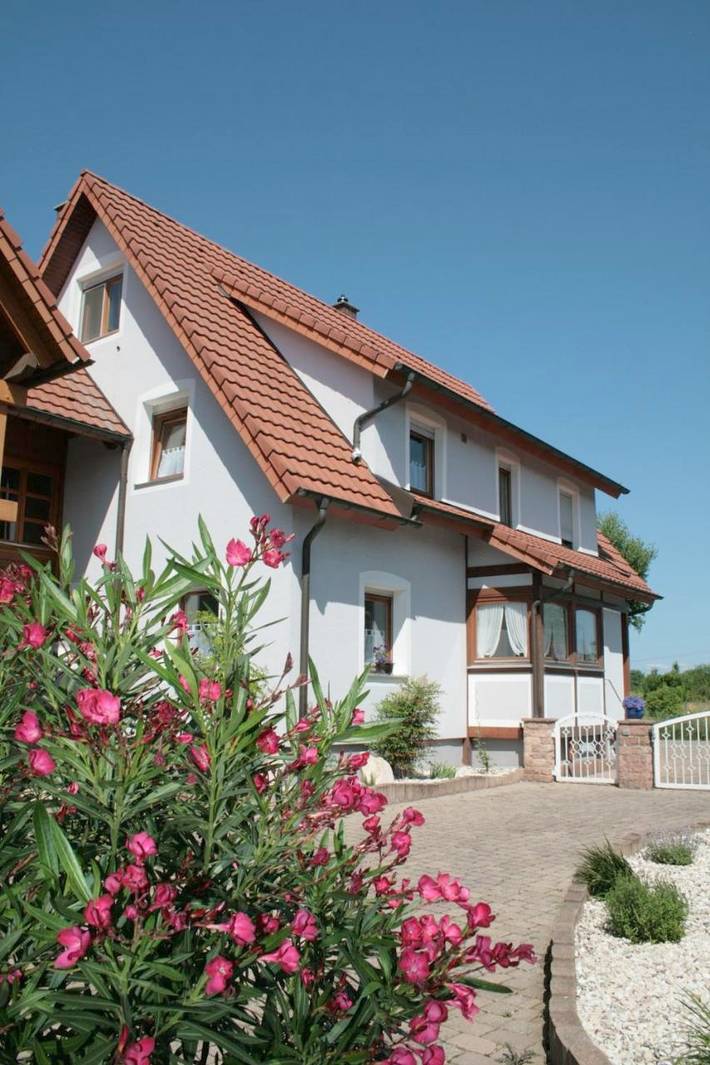 Ferienwohnung für 10 Personen, mit Terrasse in Kappel-Grafenhausen - 2