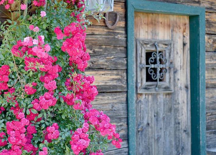 Ferienwohnung für 4 Personen, mit Sauna und Garten, kinderfreundlich in SkiWelt Wilder Kaiser - Brixental - 3