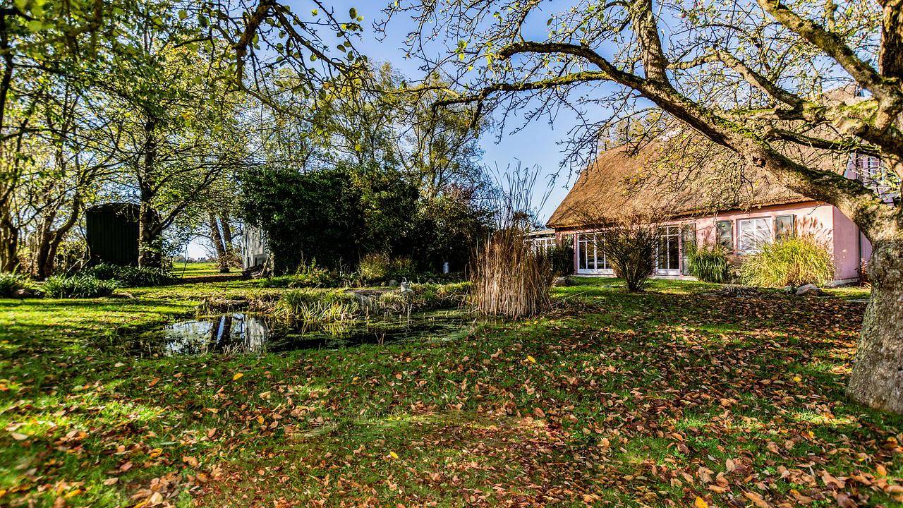 Ganze Ferienwohnung, Ferienwohnung für 3 Personen (65 m²) in Poseritz in Poseritz, Rügen