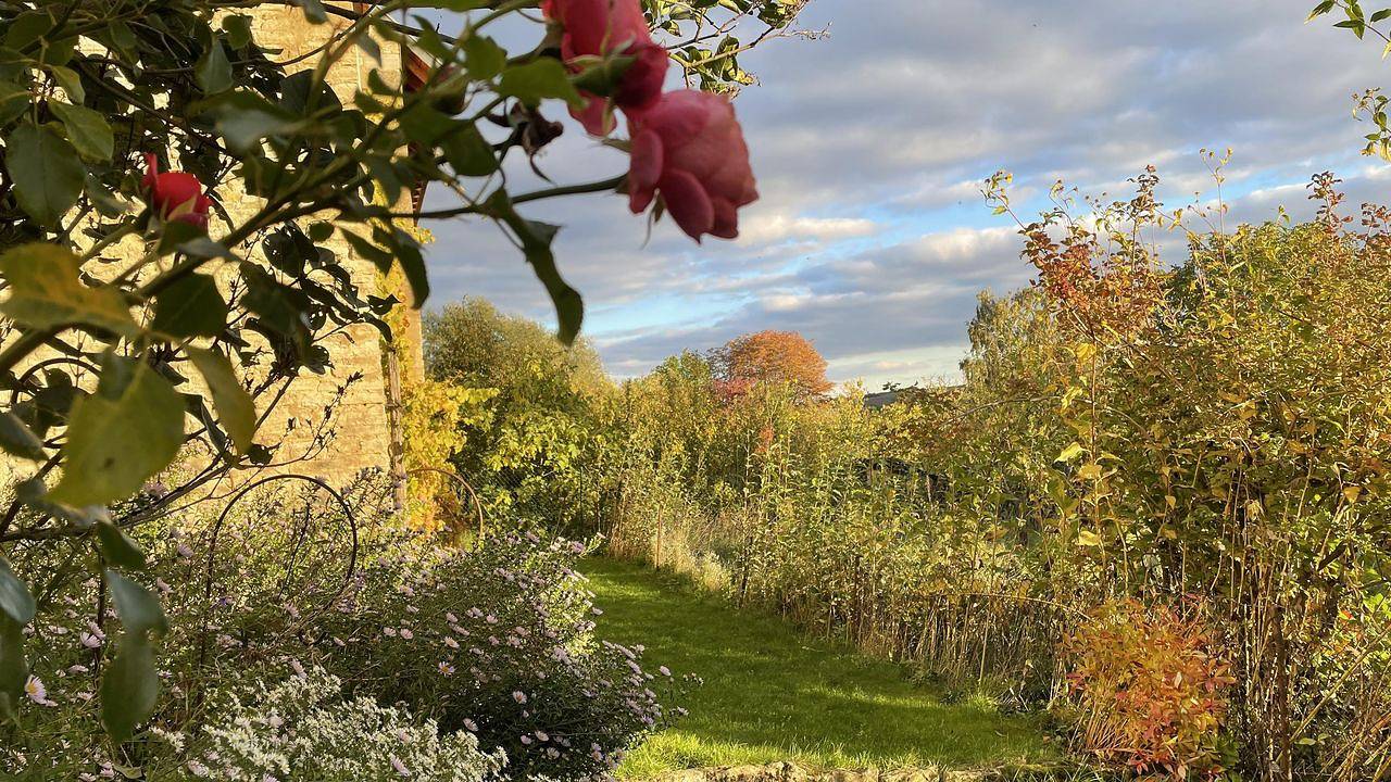 Ferienhaus für 4 Personen (140 m²) in Rittersheim in Donnersbergkreis