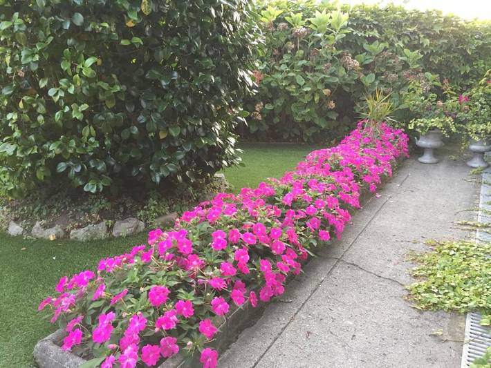 Casa rural para 2 personas, con jardín en Costa Occidental Asturiana - 4