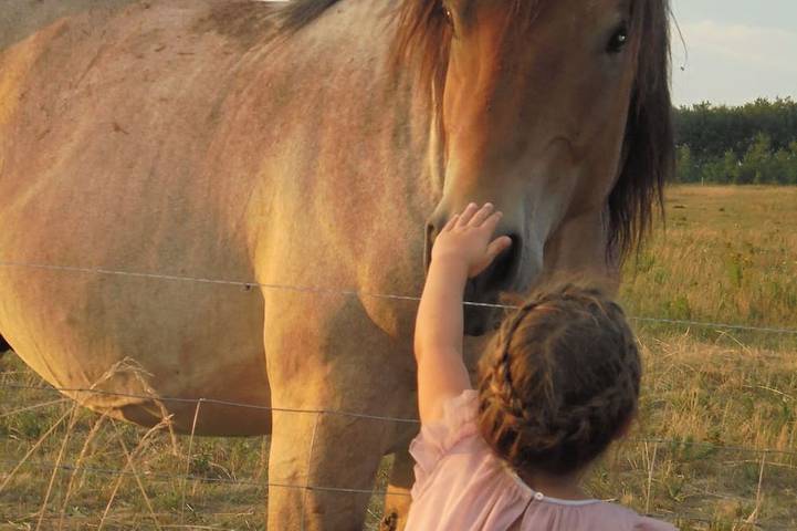 Ferienwohnung für 6 Personen, mit Terrasse und Garten in Alt Schwerin