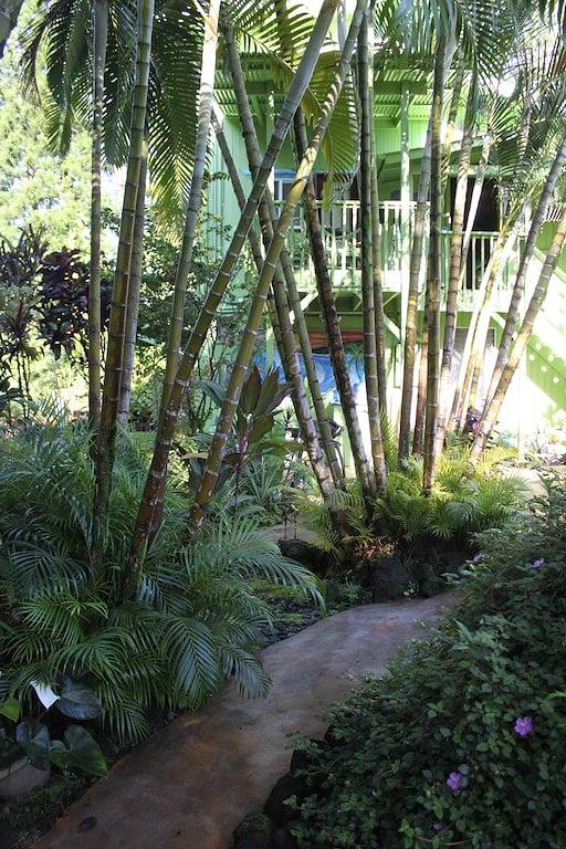 Ganze Wohnung, Regen-Waldhaus! in Hawaiian Paradise Park, East Puna