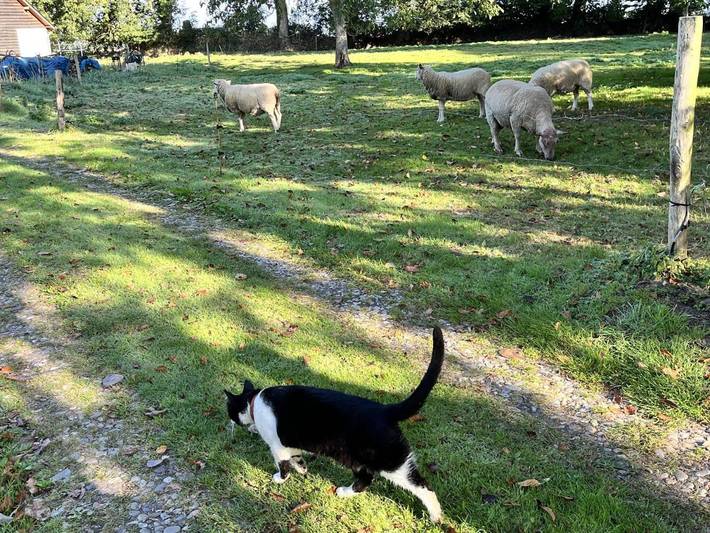 Gîte pour 3 personnes, avec jardin dans Thil-Manneville - 2