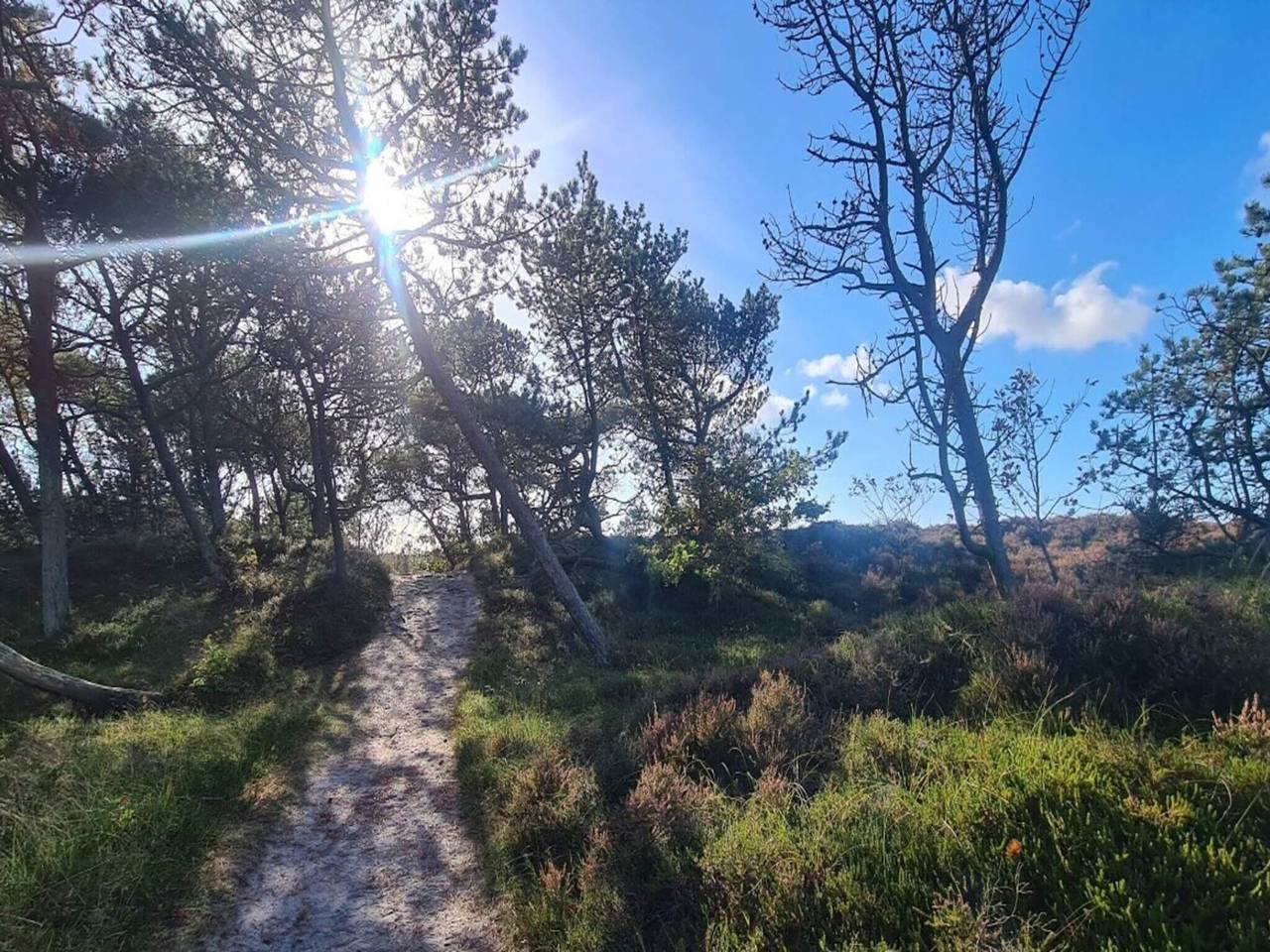 Luxus-Ruckzug in Toftum -- By Traum Ferienwohnungen in Toftum, Rømø