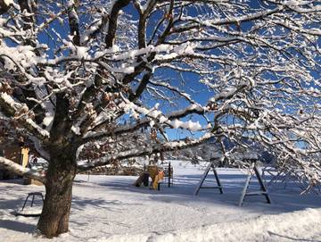 Hotel für 2 Personen, mit Balkon und Ausblick sowie Garten, kinderfreundlich in Strobl