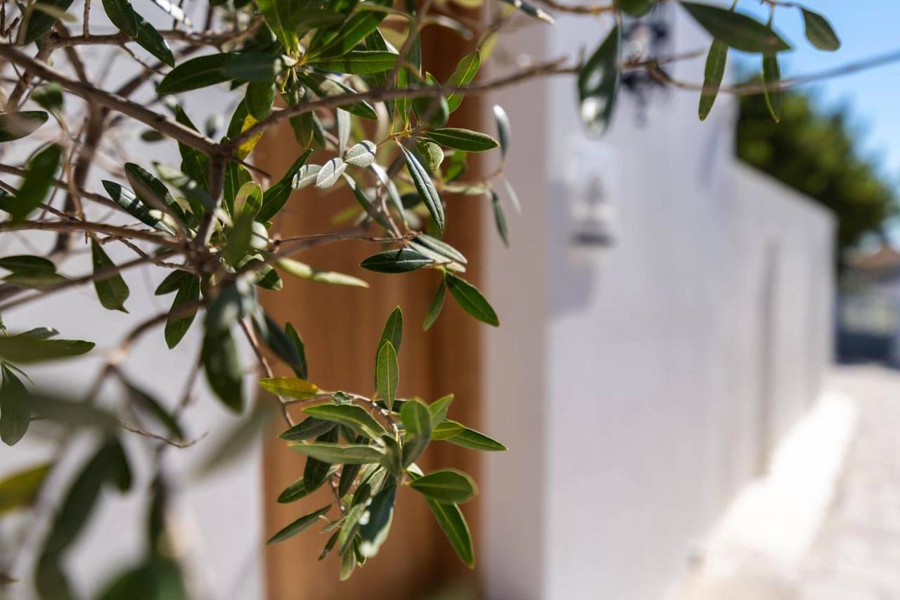 Suite with a Sea View in Lindos Beach, Lindos