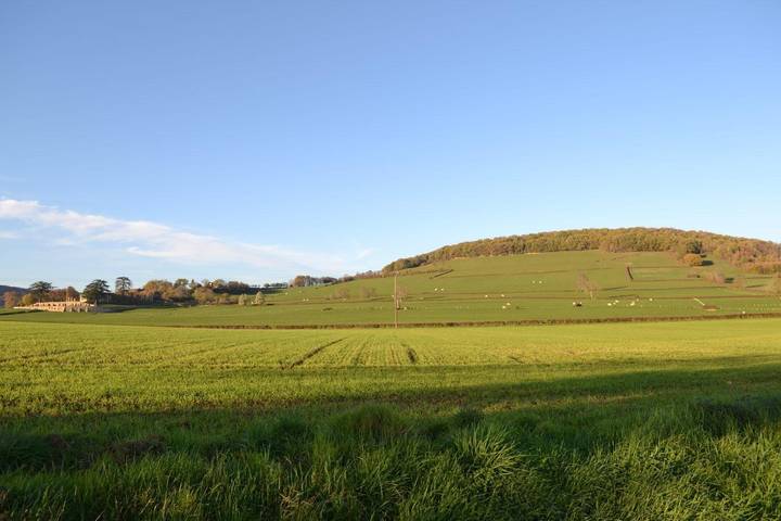 Gîte pour 2 personnes, avec terrasse dans Jalogny - 4