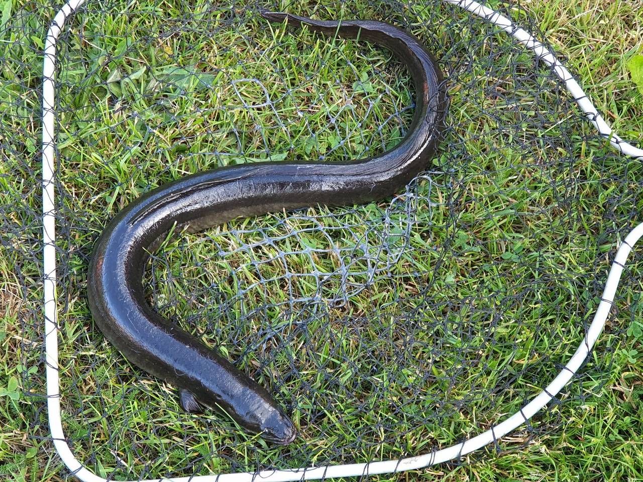 Gemütliches Cottage mit Whirlpool in Kalvshult, Kronoberg