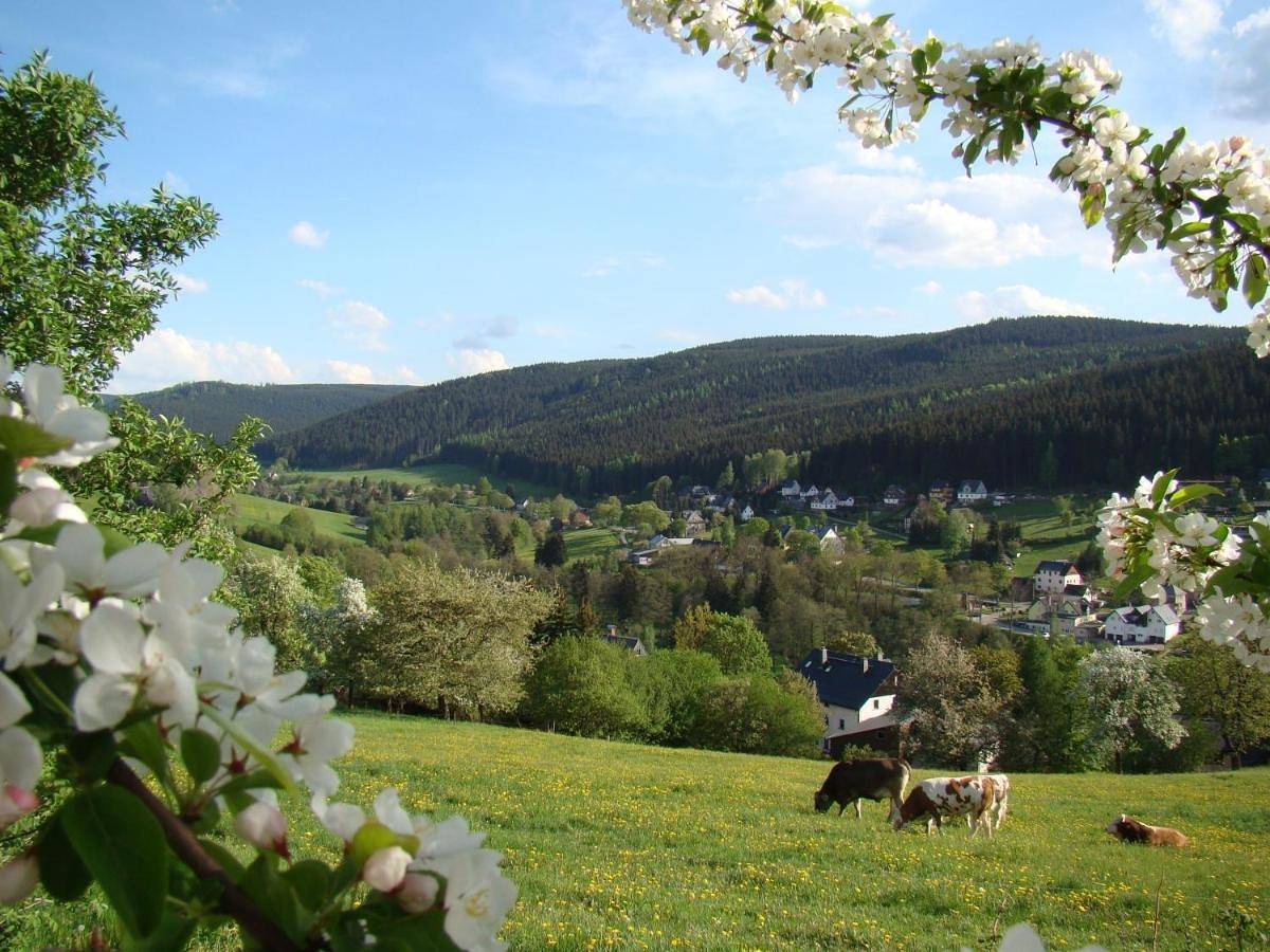 Ganze Wohnung, Apartment with Mountain View in Rittersgrün, Breitenbrunn / Erzgebirge