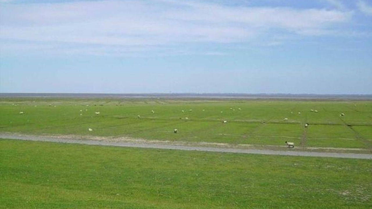 Doppelzimmer für 2 Personen in Friedrichskoog in Friedrichskoog, Friedrichskoog Region