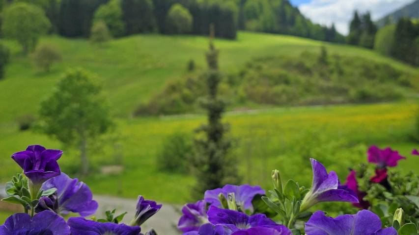 Ferienwohnung für 2 Personen, mit Balkon und Garten, mit Haustier in Unterjoch