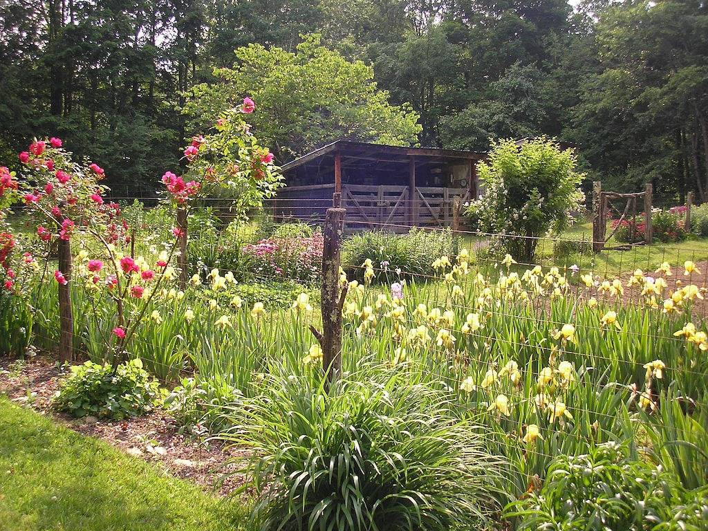 Smoky Mountains 20 min nach Gatlinburg am Creek, grenzt an Park, unter 100 $ Haustiere Ok! in Cosby (TN), Cocke County