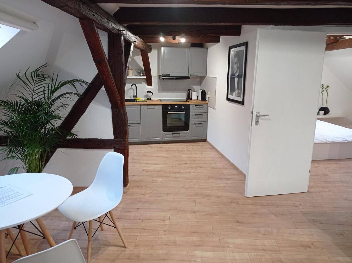 Ganze Wohnung, Wohlfühl-Oase in der Altstadt mit Wifi, Xl Badewanne, voll ausgestatteter Küche, Hunde ohne Aufpreis, 17 min zur Messe, 3 min zum Schloss in Delitzsch, Sächsisches Burgen- und Heideland