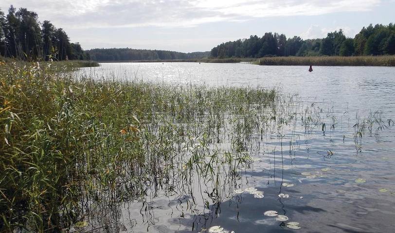 Eine Naturperle mit Boot und Sauna in Säffle, Vänern