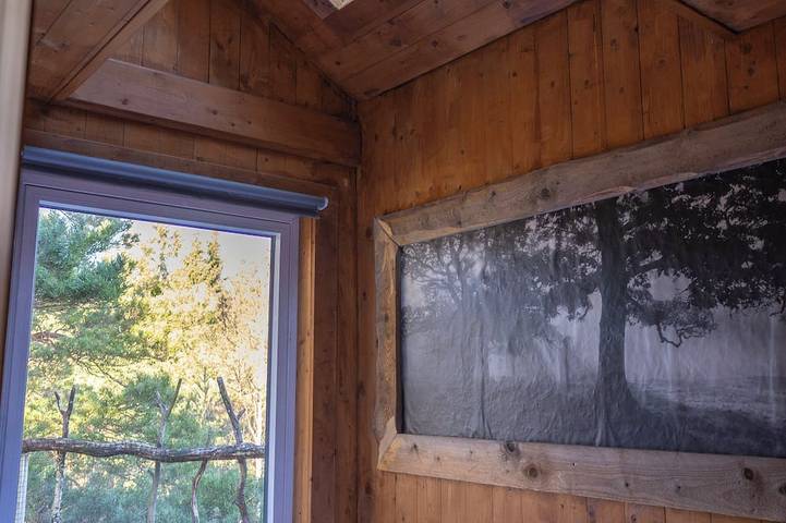 Beautiful Treetop cabin in cozy south part of Norway, perfect for a getaway in Mandal