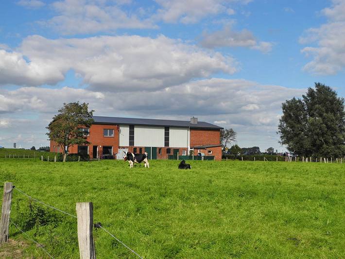 Ferienhaus für 9 Personen, mit Terrasse und Garten in Oesterdeichstrich - 4